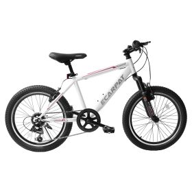 A20215 Kids Bicycle 20 Inch Kids Montain Bike Gear Shimano 7 Speed Bike for Boys and Girls (Color: as Pic)